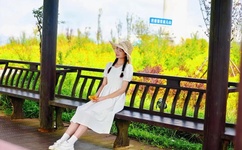 成品免费网站W灬源码在线